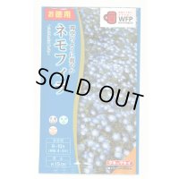 送料無料　花の種　お徳用パック！ネモフィラ　インシグニスブルー　5ml　タキイ種苗(株)NL500
