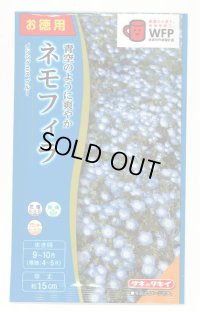 送料無料　花の種　お徳用パック！ネモフィラ　インシグニスブルー　5ml　タキイ種苗(株)NL500
