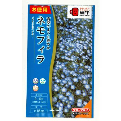 画像1: 送料無料　花の種　お徳用パック！ネモフィラ　インシグニスブルー　5ml　タキイ種苗(株)NL500