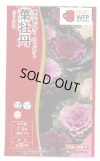 送料無料　花の種　葉牡丹　F1つぐみ混合　タキイ種苗(株)NL300