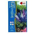 送料無料　花の種　デルフィニウム　Ｆ1オーロラミックス　0.1ml　タキイ種苗(株)NL300