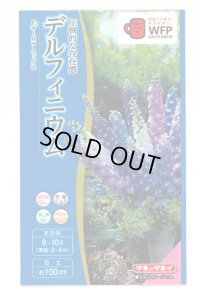送料無料　花の種　デルフィニウム　Ｆ1オーロラミックス　0.1ml　タキイ種苗(株)NL300