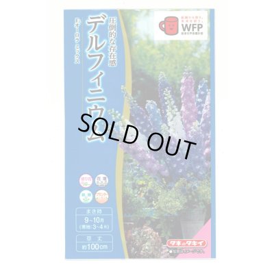 画像1: 送料無料　花の種　デルフィニウム　Ｆ1オーロラミックス　0.1ml　タキイ種苗(株)NL300