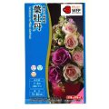 花の種　葉牡丹　プラチナケールF1　ルシールミックス　15粒