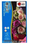 花の種　葉牡丹　プラチナケールF1　ルシールミックス　15粒