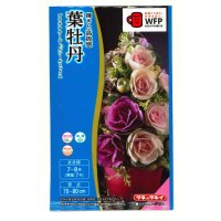 花の種　葉牡丹　プラチナケールF1　ルシールミックス　15粒