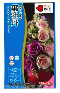 花の種　葉牡丹　プラチナケールF1　ルシールミックス　15粒