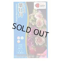 花の種　葉牡丹　プラチナケールF1　ルシールミックス　15粒