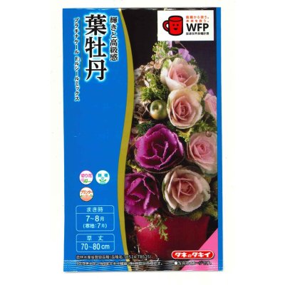 画像1: 花の種　葉牡丹　プラチナケールF1　ルシールミックス　15粒
