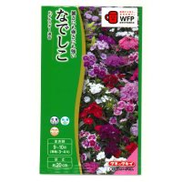 送料無料　花の種　なでしこ　F1テルスター　混合　小袋　タキイ種苗(株)NL300