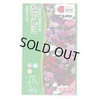 送料無料　花の種　なでしこ　F1テルスター　混合　小袋　タキイ種苗(株)NL300