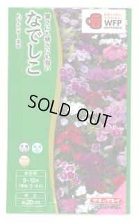 送料無料　花の種　なでしこ　F1テルスター　混合　小袋　タキイ種苗(株)NL300