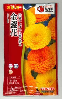 送料無料　花の種　お徳用パック！　切花向　金盞花　スター混合　タキイ種苗(株)NL500