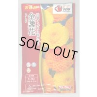 送料無料　花の種　お徳用パック！　切花向　金盞花　スター混合　タキイ種苗(株)NL500