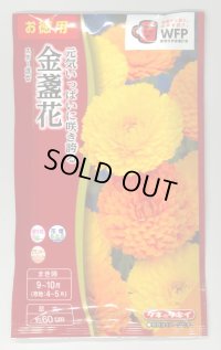 送料無料　花の種　お徳用パック！　切花向　金盞花　スター混合　タキイ種苗(株)NL500