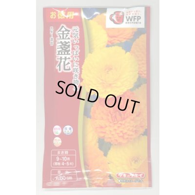 画像1: 送料無料　花の種　お徳用パック！　切花向　金盞花　スター混合　タキイ種苗(株)NL500