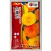 画像1: 送料無料　花の種　お徳用パック！　切花向　金盞花　スター混合　タキイ種苗(株)NL500 (1)