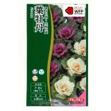 送料無料　花の種　葉牡丹　F1　はと混合　0.5ml　タキイ種苗(株)NL300