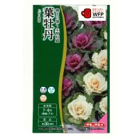 送料無料　花の種　葉牡丹　F1　はと混合　0.5ml　タキイ種苗(株)NL300