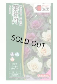 送料無料　花の種　葉牡丹　F1　はと混合　0.5ml　タキイ種苗(株)NL300