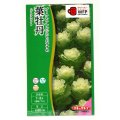 送料無料　花の種　葉牡丹　F1　フレアホワイト　タキイ種苗(株)NL300