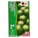 送料無料　花の種　葉牡丹　F1　フレアホワイト　タキイ種苗(株)NL300