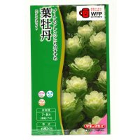送料無料　花の種　葉牡丹　F1　フレアホワイト　タキイ種苗(株)NL300