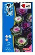 送料無料　花の種　葉牡丹　ファインミックス　タキイ種苗(株)NL300