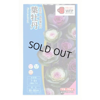 画像1: 送料無料　花の種　葉牡丹　ファインミックス　タキイ種苗(株)NL300