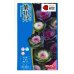 画像1: 送料無料　花の種　葉牡丹　ファインミックス　タキイ種苗(株)NL300 (1)