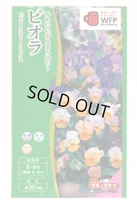 送料無料　花の種　ビオラ　F1ビビ　アンティークミックス　小袋　タキイ種苗(株)NL300