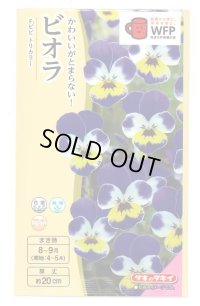 送料無料　花の種　ビオラ　Ｆ1ビビ　トリカラー　タキイ種苗(株)NL300