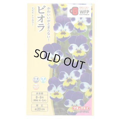 画像1: 送料無料　花の種　ビオラ　Ｆ1ビビ　トリカラー　タキイ種苗(株)NL300