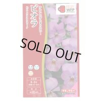 送料無料　花の種　ビオラ　Ｆ1ビビ　ピンクアンティーク　タキイ種苗(株)NL300