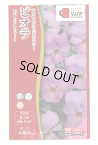 送料無料　花の種　ビオラ　Ｆ1ビビ　ピンクアンティーク　タキイ種苗(株)NL300