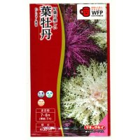 送料無料　花の種　葉牡丹　くじゃく混合　0.5ml　タキイ種苗(株)NL300