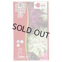 送料無料　花の種　葉牡丹　くじゃく混合　0.5ml　タキイ種苗(株)NL300
