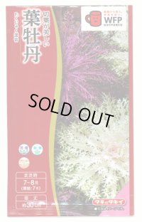 送料無料　花の種　葉牡丹　くじゃく混合　0.5ml　タキイ種苗(株)NL300