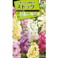 送料無料　花の種　ストック　クリスマス混合　小袋（約120粒）タキイ種苗（株）NL200
