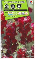 送料無料　花の種　金魚草　ブラックプリンス　　小袋（約120粒）タキイ種苗（株）NL200