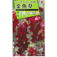 送料無料　花の種　金魚草　ブラックプリンス　　小袋（約120粒）タキイ種苗（株）NL200