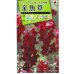 画像1: 送料無料　花の種　金魚草　ブラックプリンス　　小袋（約120粒）タキイ種苗（株）NL200 (1)