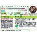 画像2: 送料無料　花の種　金魚草　ブラックプリンス　　小袋（約120粒）タキイ種苗（株）NL200 (2)