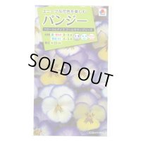 送料無料　花の種　パンジー　フローラルデイズクールサマーブリーズ　小袋（約30粒）タキイ種苗（株）NL200