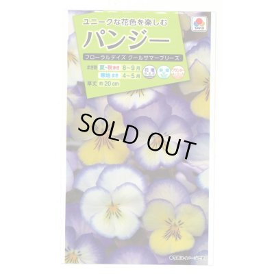 画像1: 送料無料　花の種　パンジー　フローラルデイズクールサマーブリーズ　小袋（約30粒）タキイ種苗（株）NL200