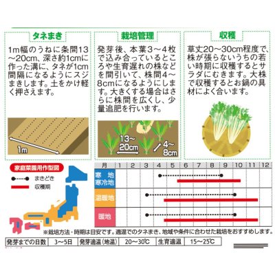 画像2: 送料無料　[葉物]　水菜　鍋物バッチリ水菜　水天２号　（株）サカタのタネ　実咲250（203246）