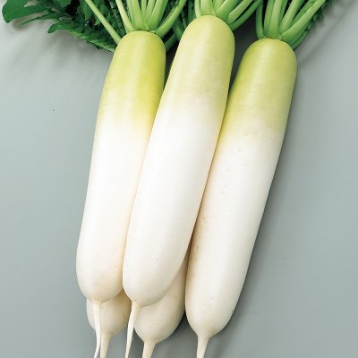 画像3: 送料無料　[大根]　夏秋自慢　約125粒　実咲450（203249）　(株)サカタのタネ