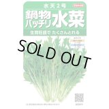 送料無料　[葉物]　水菜　鍋物バッチリ水菜　水天２号　（株）サカタのタネ　実咲250（203246）
