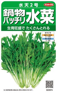 送料無料　[葉物]　水菜　鍋物バッチリ水菜　水天２号　（株）サカタのタネ　実咲250（203246）
