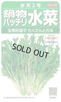 送料無料　[葉物]　水菜　鍋物バッチリ水菜　水天２号　（株）サカタのタネ　実咲250（203246）